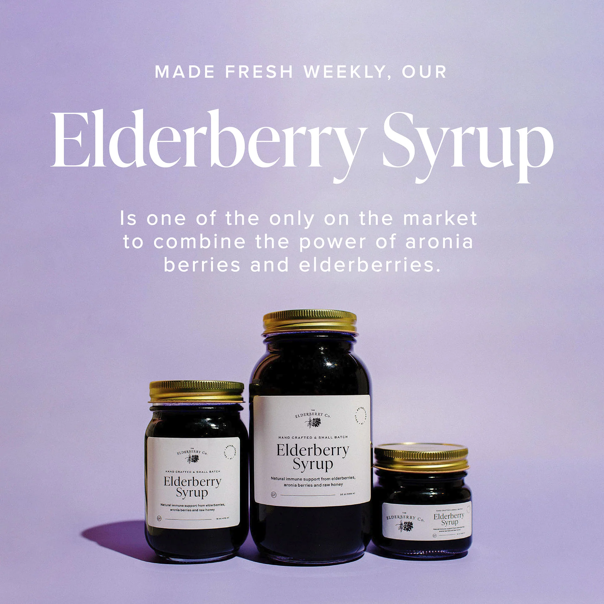 Elderberry Syrup - Image 7